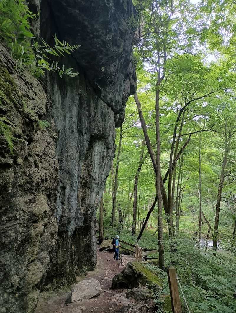 Notice the Limestone and Dolomite Geology