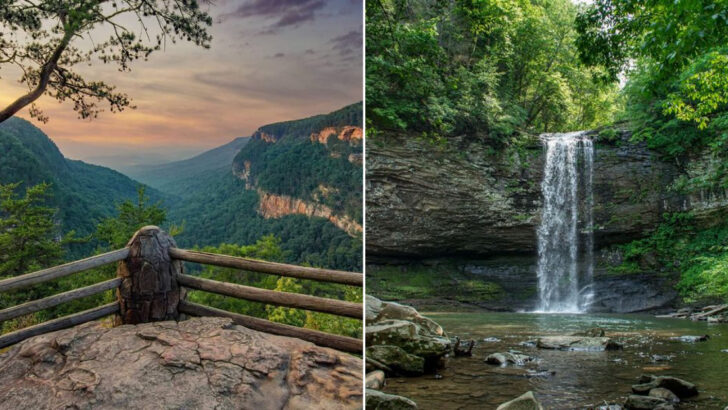 Waterfalls And Canyon Views Turn This Georgia State Park Into A Trail Day Worth Remembering