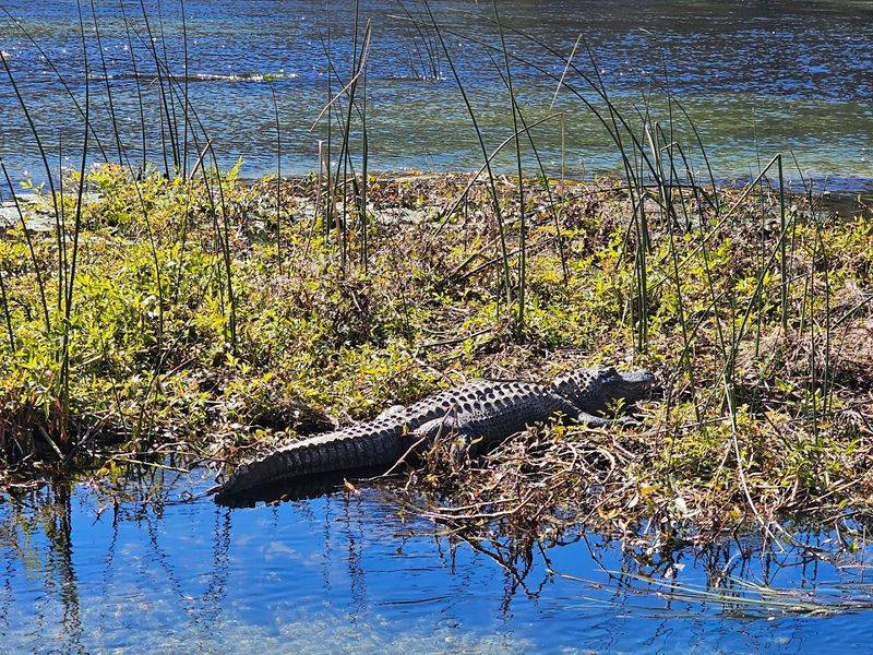 Wakulla Springs State Park