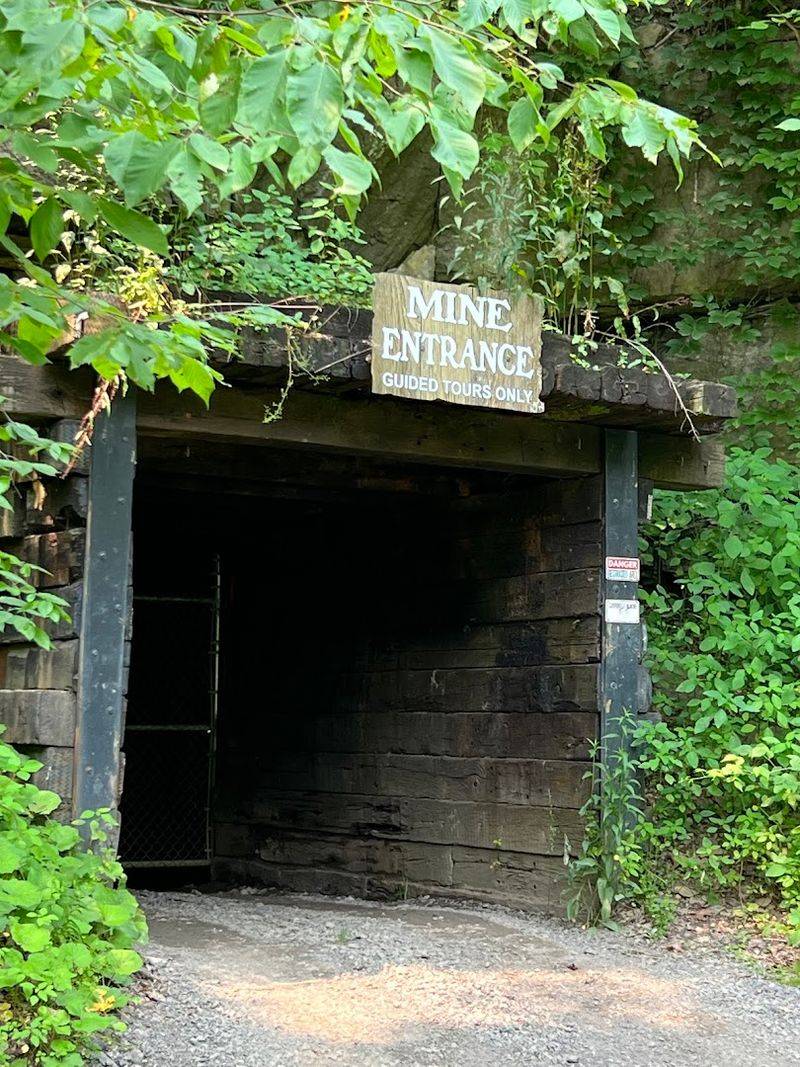 Booking, Pricing, And Getting There