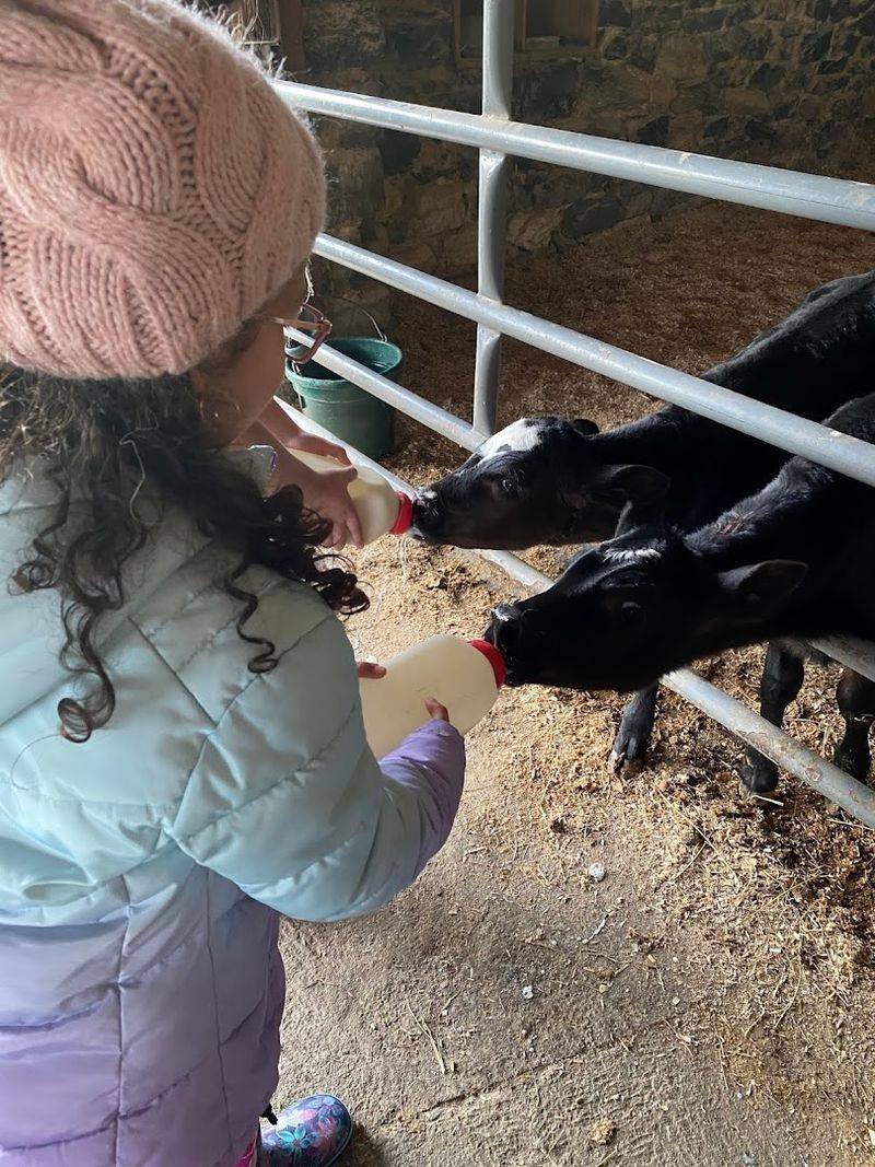 Rocky Acre Farm Bed & Breakfast (Mount Joy, Lancaster County)