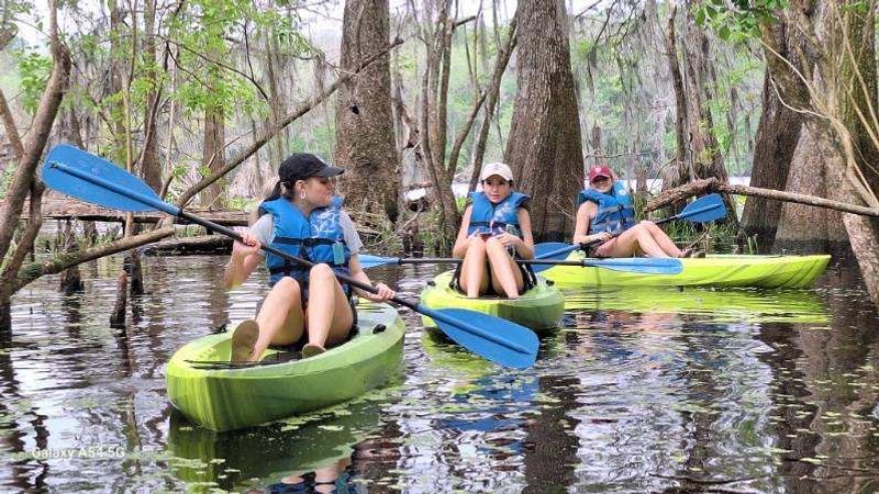 Manatee Springs State Park - Chiefland, FL