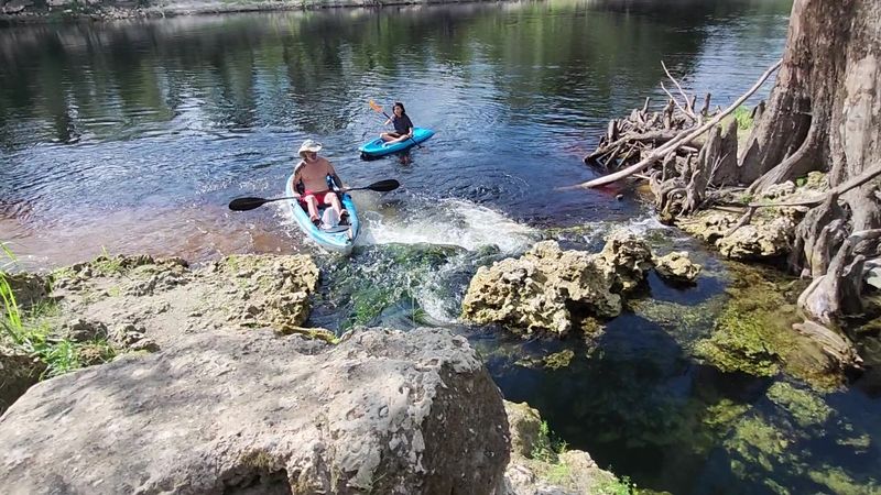 Suwannee River State Park - Live Oak, FL