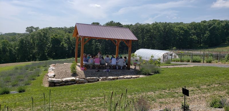 Educational Culinary Classes That Awaken Your Taste Buds