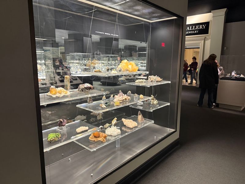 Interactive Learning Elements