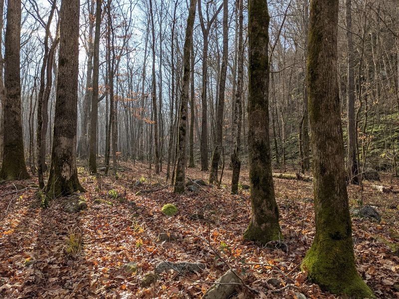 Sitton's Gulch Trail