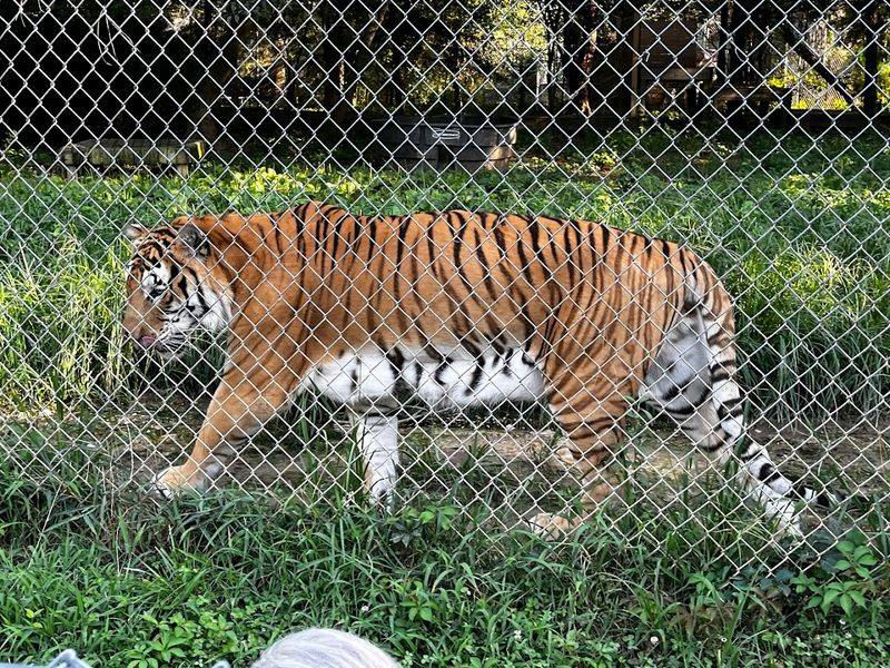 The Residents Have Names, Histories, Preferences, And Scars