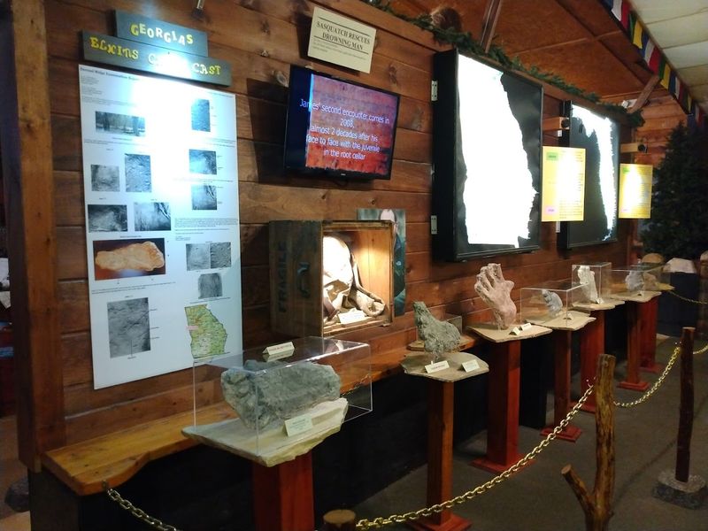 Footprints, Casts, and Physical Evidence