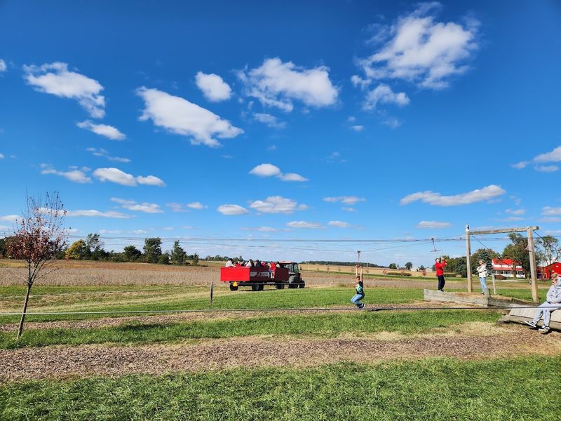 The Daytime Atmosphere