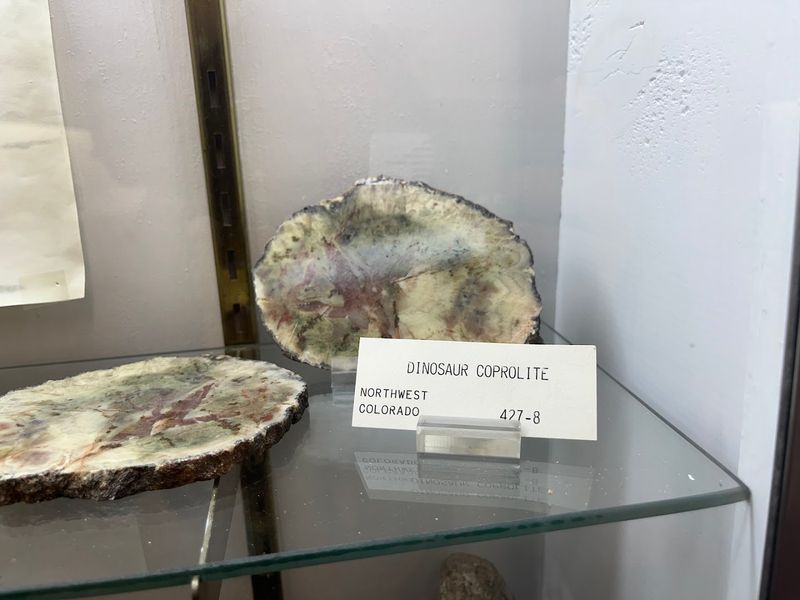 The Gem Cutting and Lapidary Display