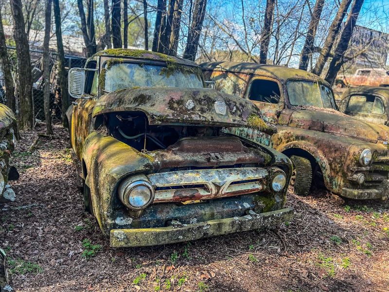 The Random American Car History Hiding in the Woods