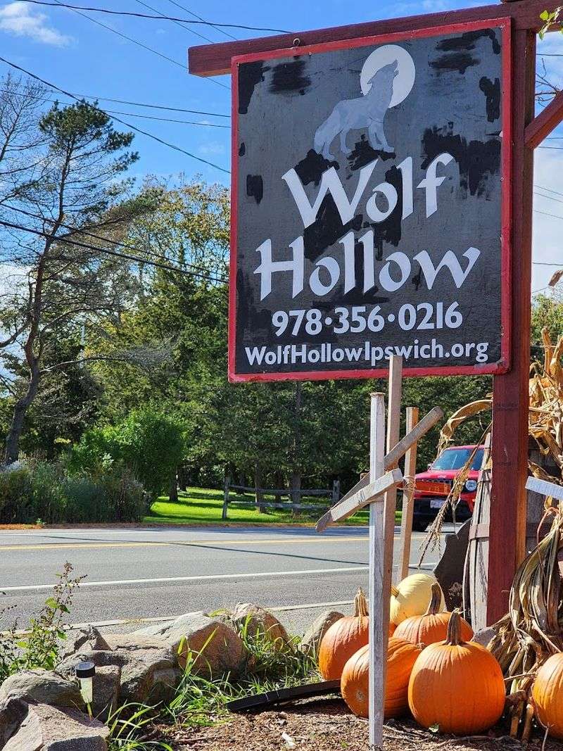 Planning Your Visit And Tickets