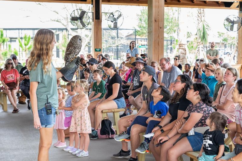 Volunteer and Educational Opportunities