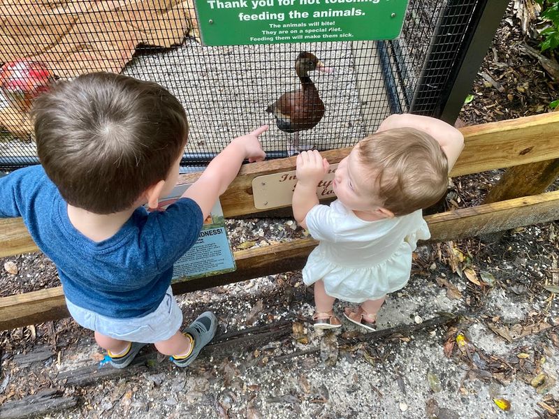 What Young Visitors Get Out of It