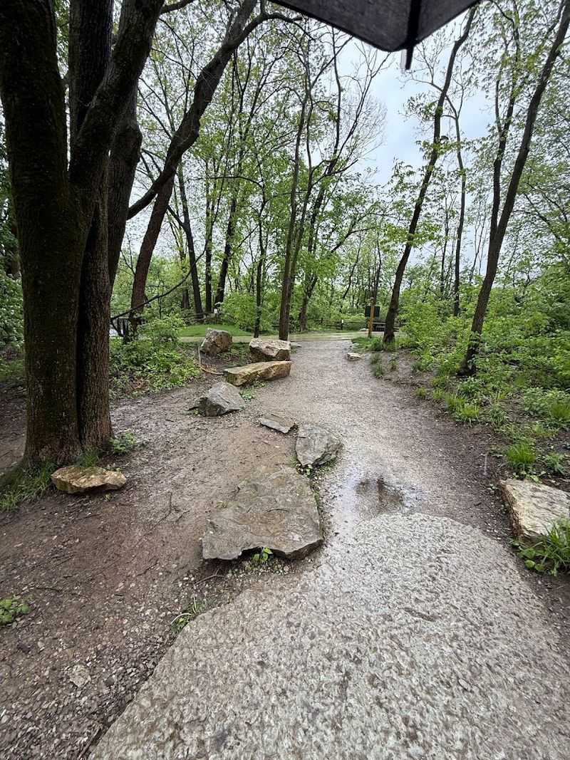 The Trail System: How to Get There Without Getting Lost