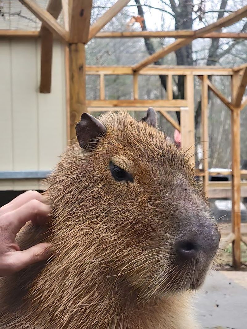 Visitor Info & Tips for Planning Your Trip