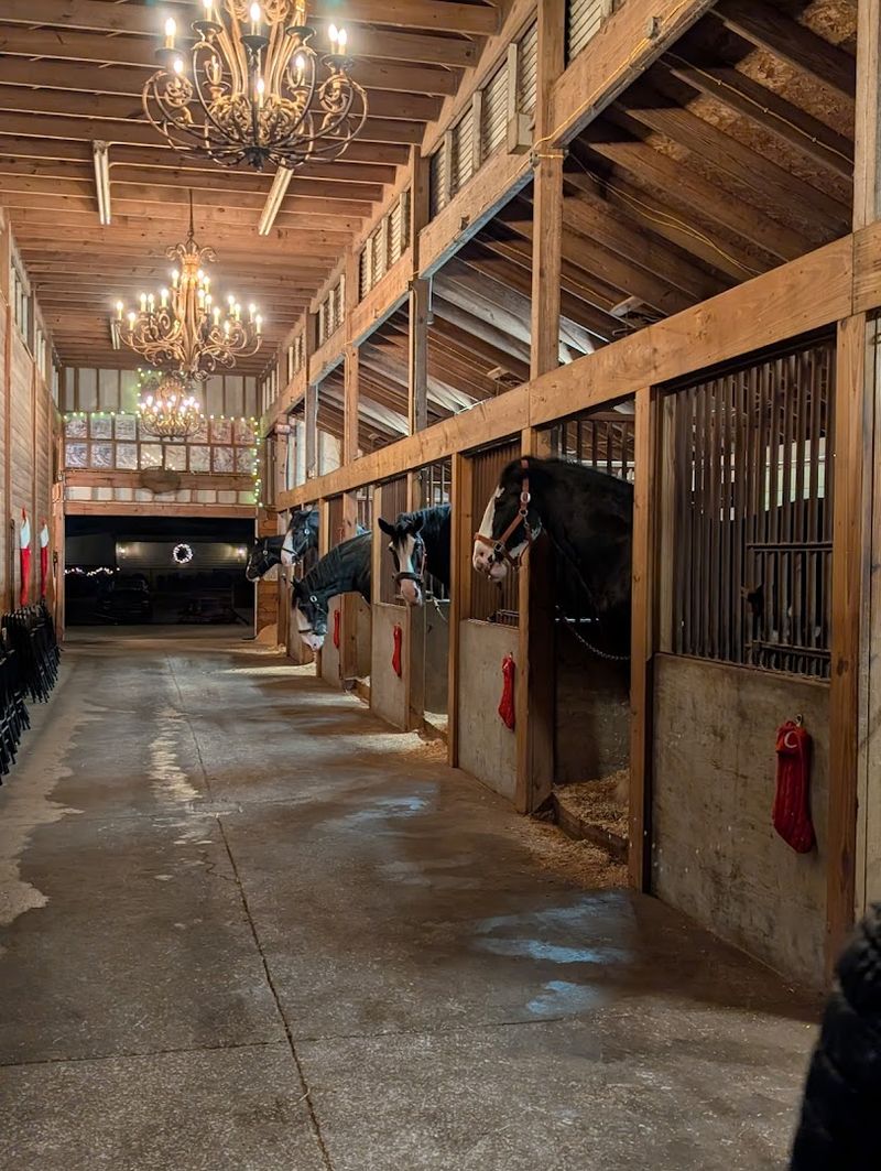 Why Grandview Clydesdale Deserves a Spot on Your Florida Bucket List