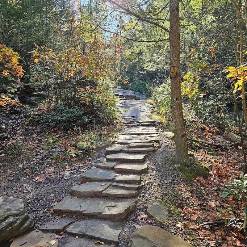 Short, Accessible Hiking Trail