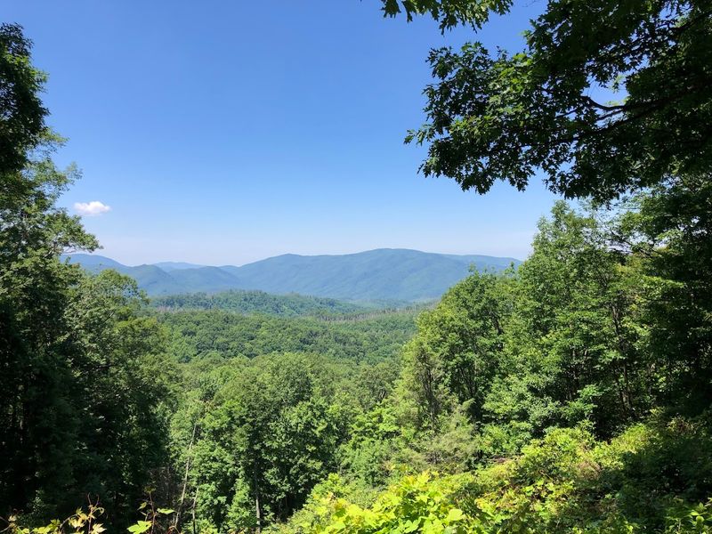 Roaring Fork Motor Nature Trail (Near Gatlinburg)