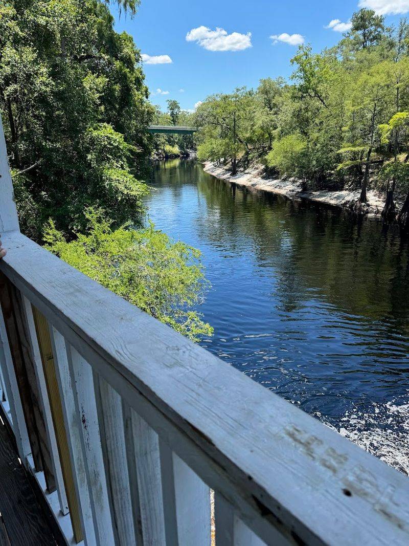 The Suwannee River &mdash; What It Actually Looks Like Up Close