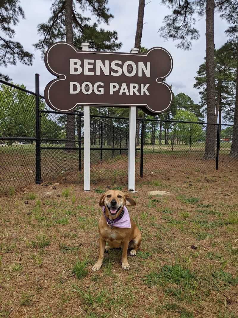 Benson Dog Park - Benson, NC