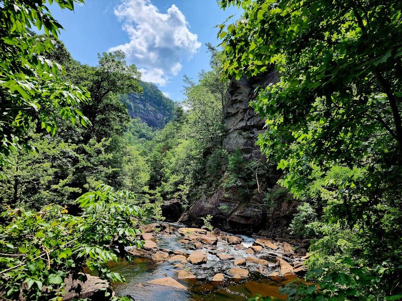 A Rich Ecological and Geological Landscape