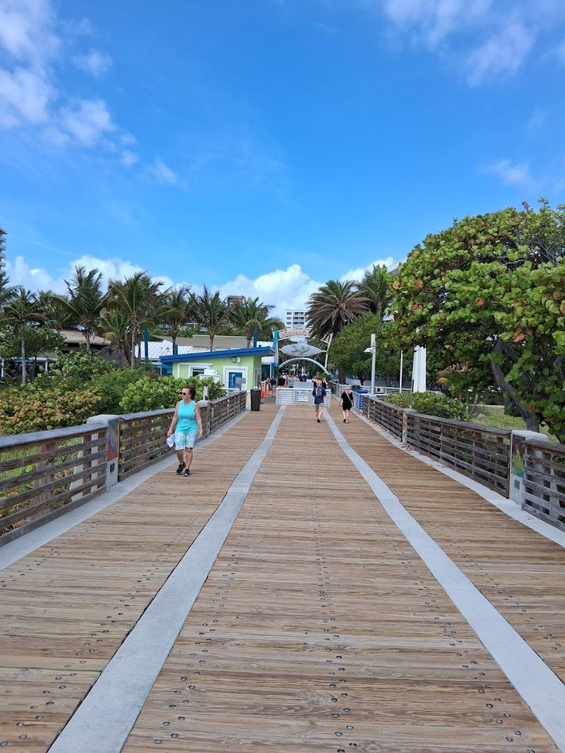 The Pier Walk: Before or After Your Drink
