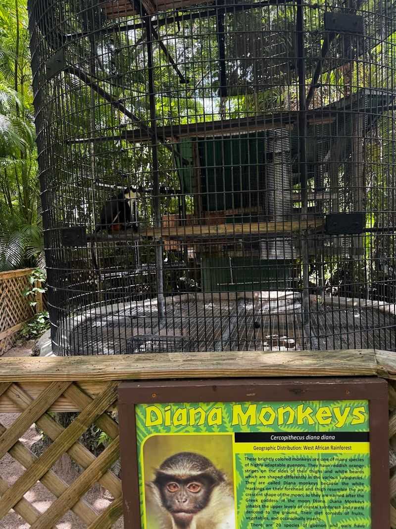 Visitor Info and Planning Tips