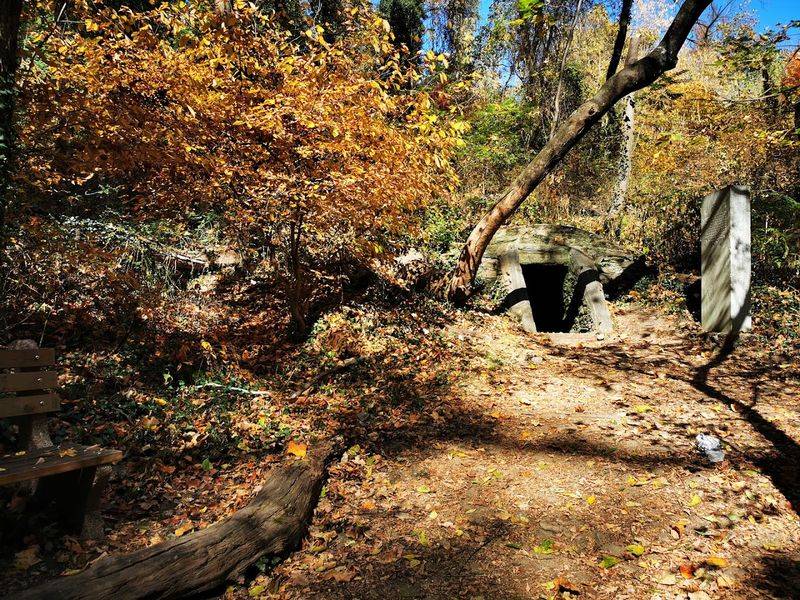 The Chapter of Perfection &mdash; America's First Doomsday Cult Explained