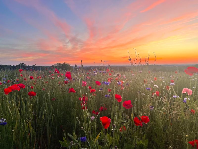 Who Will Love This Lancaster County Lookout Most