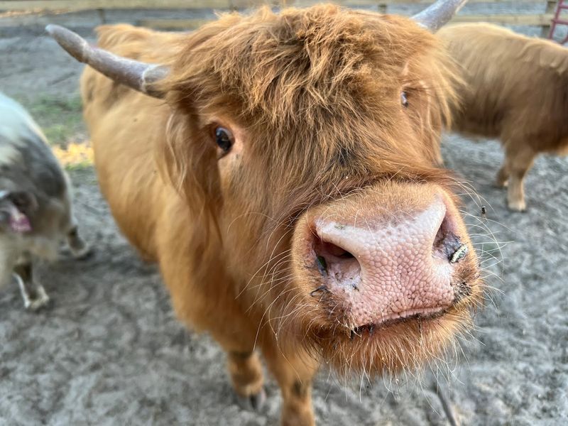 Visitor Tips Before You Go