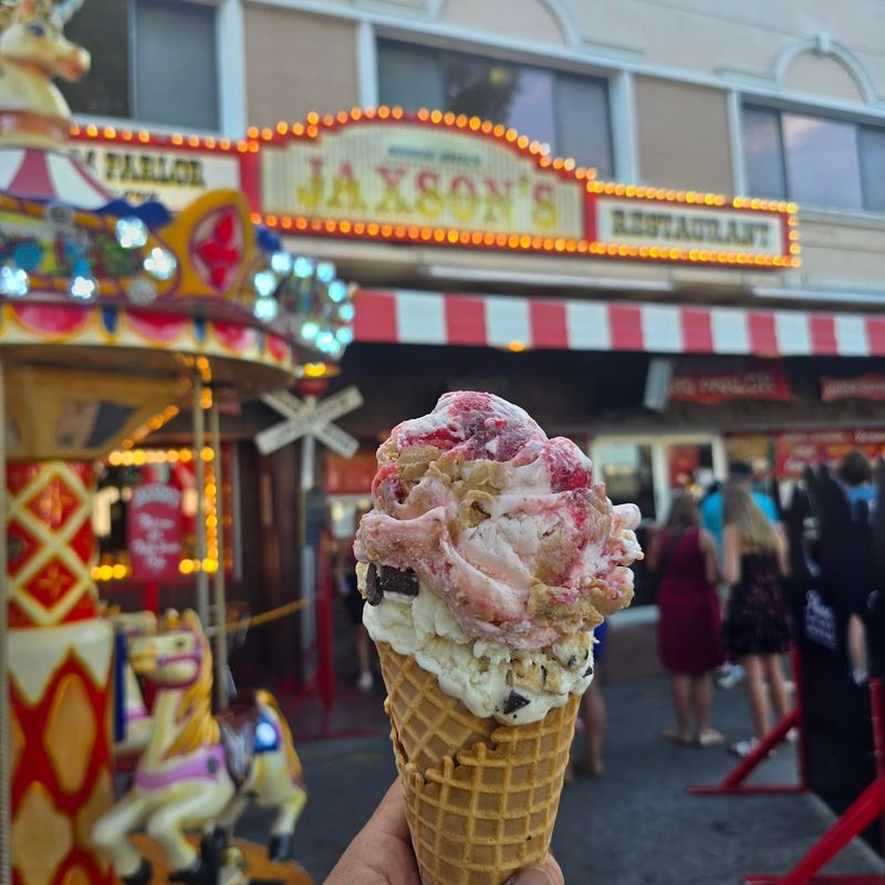 Visitor Info and Tips for Your Trip