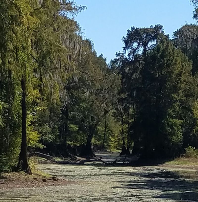 A Family-Friendly Way To See Nature
