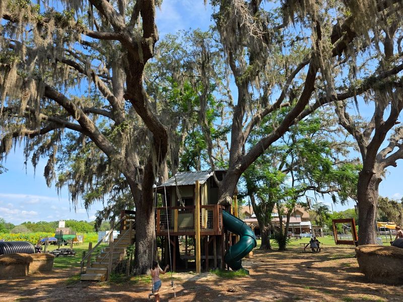 A Family Day That Does Not Need a Rigid Plan