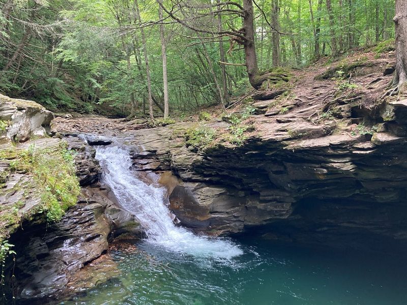 Finding The Falls Along Rock Run Road