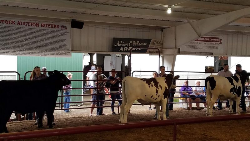 A Fairground with Real History