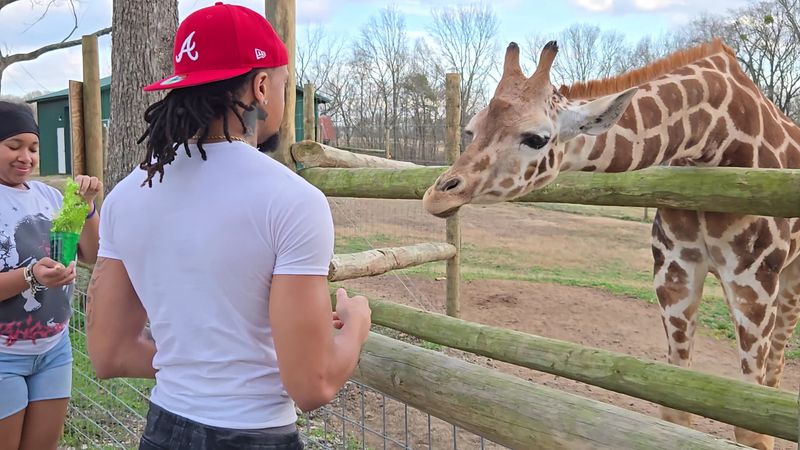 Atlanta Safari Park (Commerce)