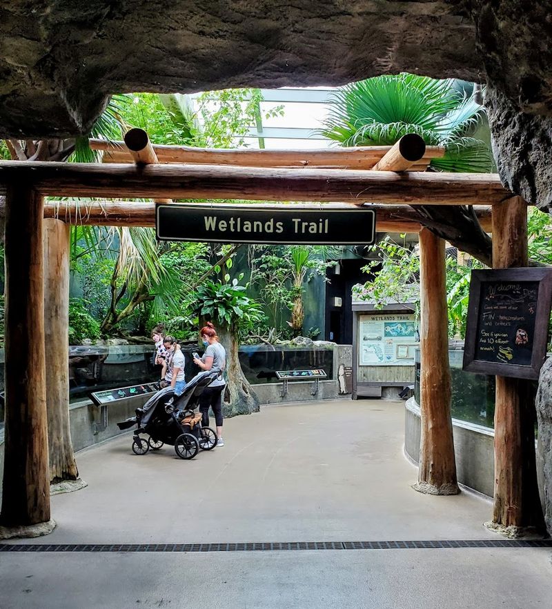 Wetlands Trail with Free-Roaming Birds