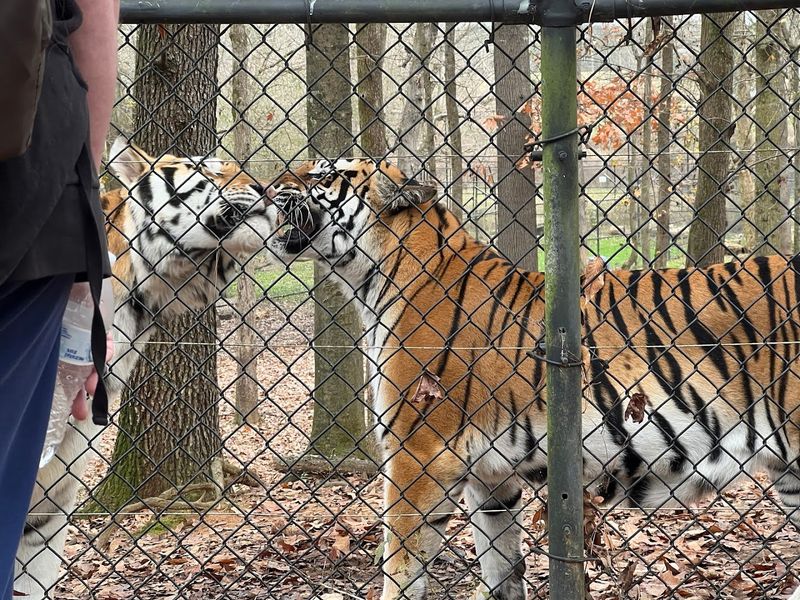 Noah's Ark Animal Sanctuary (Locust Grove)