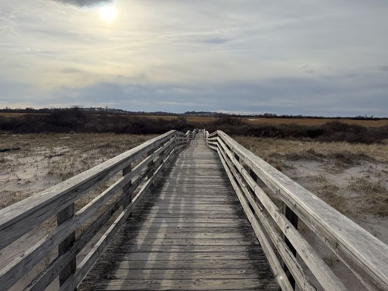 The Trail in Every Season