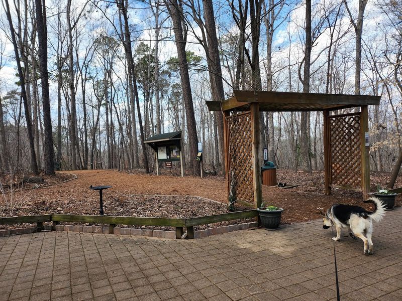 Dog-Friendly Trails: Bringing Your Four-Legged Hiker Along