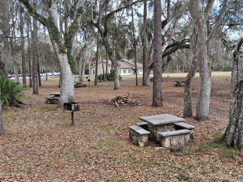 Picnic Areas Shaded by Ancient Trees