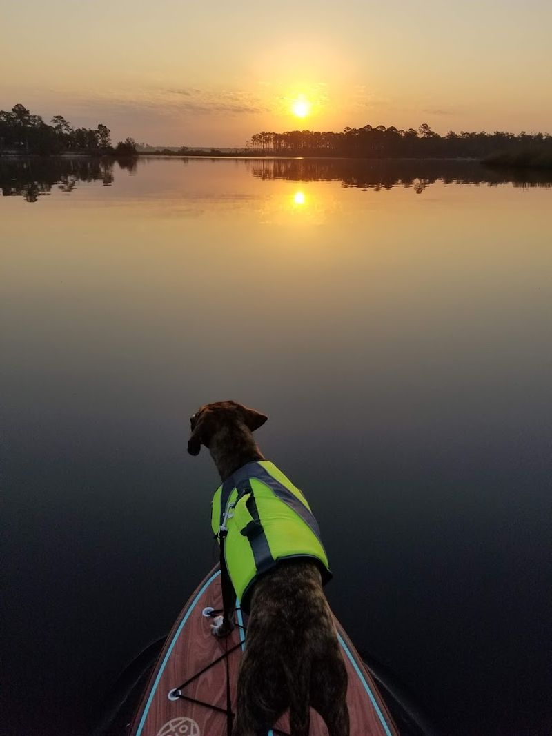 Paddle Where Rivers Converge