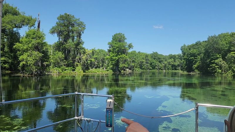 Riverboat Tours Through Untouched Cypress Swamps