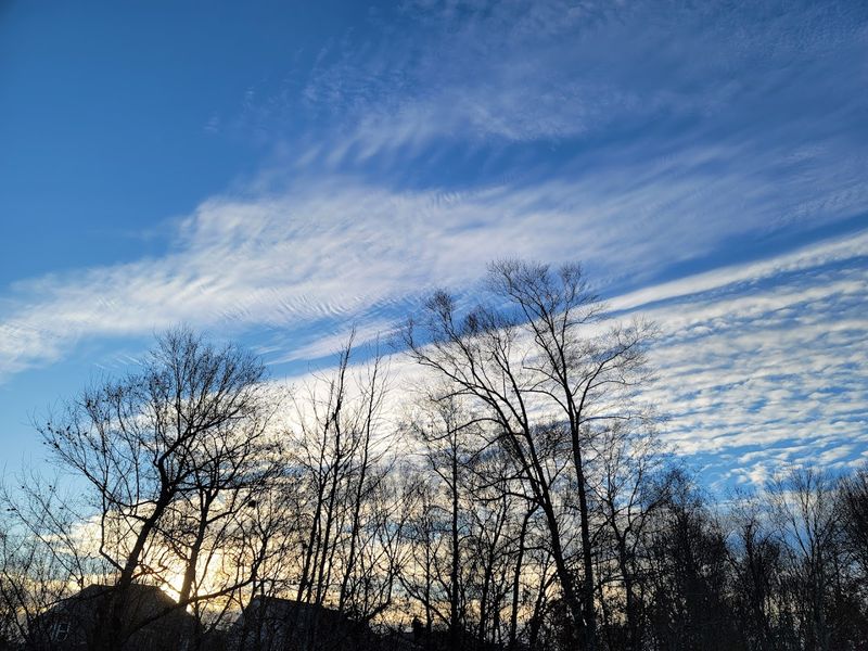 What to Know Before You Go