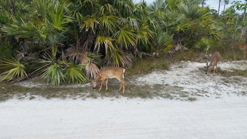 Best Times to Visit: Why Early Mornings and Sunset Hours Win Every Time