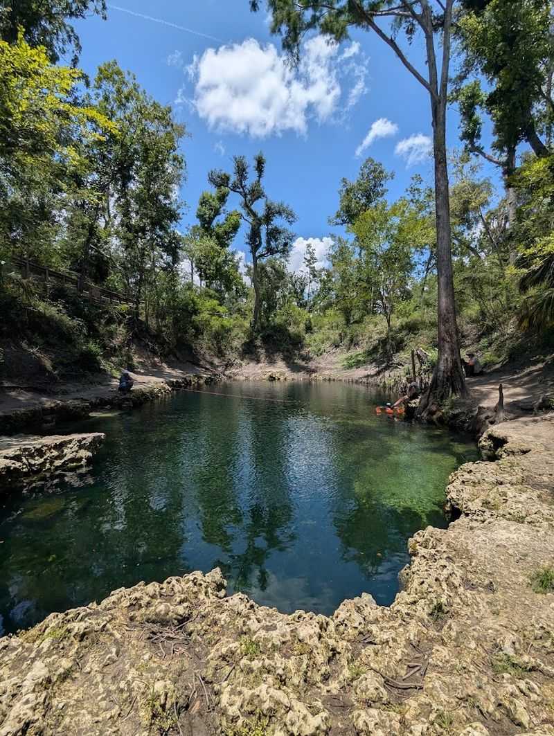 Visitor Tips: Best Time to Go and What to Know