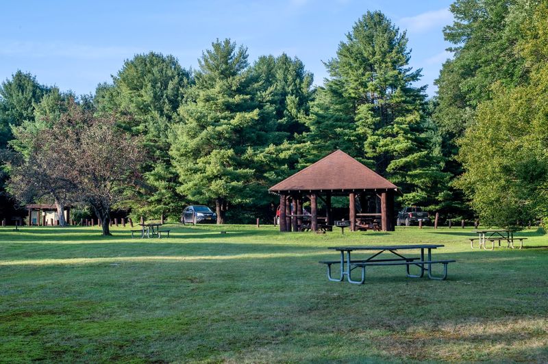 The Picnic Area and Family-Friendly Amenities at Hearts Content