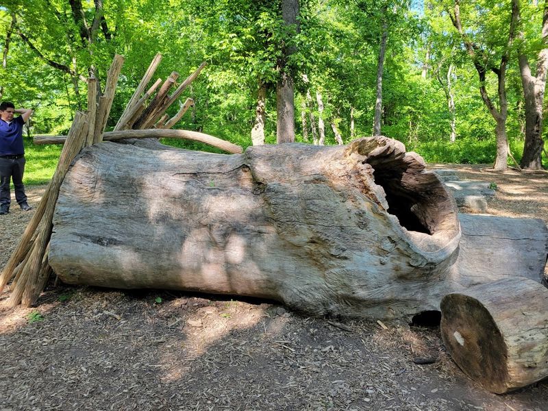 The Nature Play Area for Kids