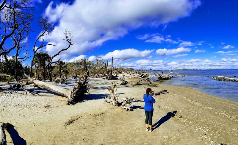 The Best Time to Visit Driftwood Beach